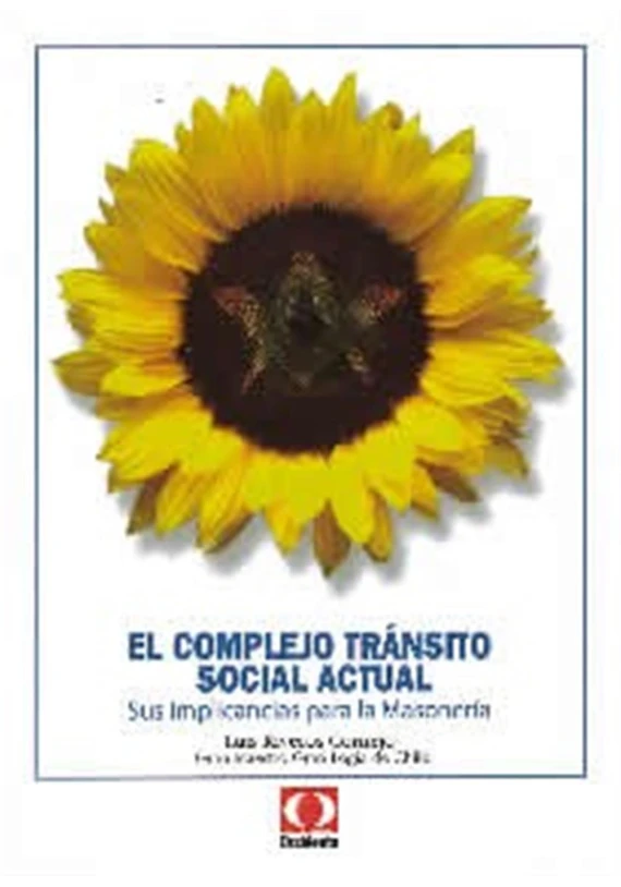 El complejo tránsito social actual