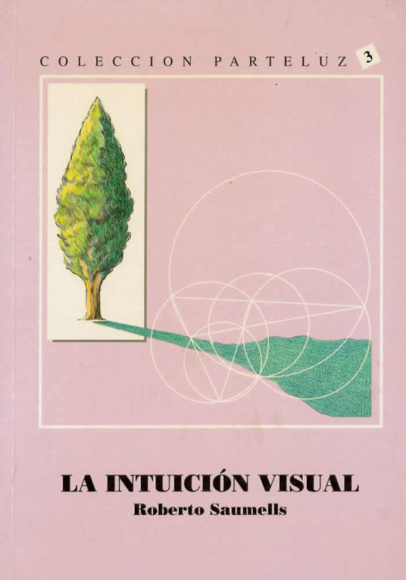La intuición visual