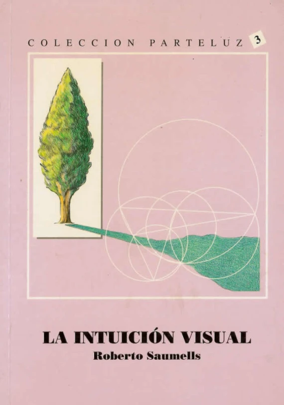 La intuición visual