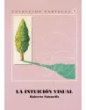 La intuición visual