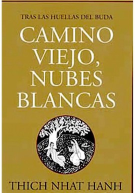 Budismo